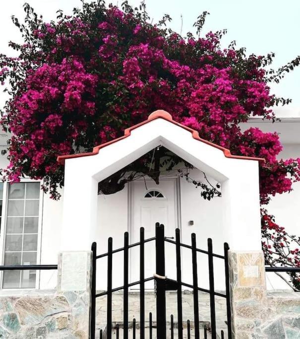 Annika'S Summer Dream Livadia  Exterior photo