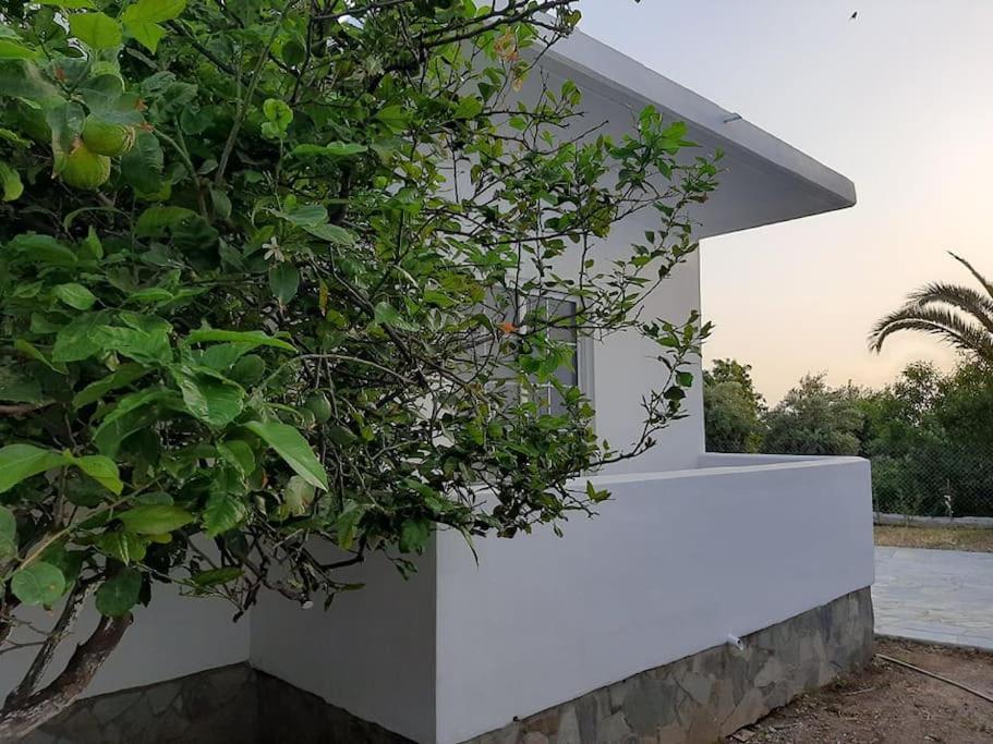 Annika'S Summer Dream Livadia  Exterior photo